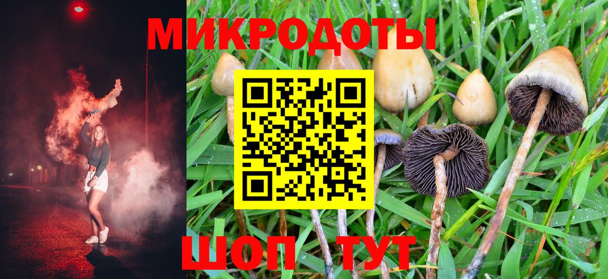 Псилоцибиновые грибы ЛСД Лабинск